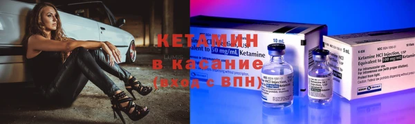 сатива Гусиноозёрск