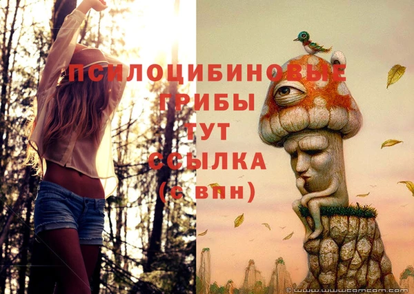 МДПВ Гусь-Хрустальный